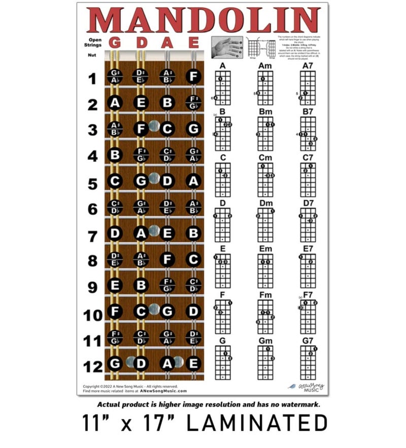 A New Song Music Laminated Mandolin Fretboard Notes & Easy Beginner Chord Chart 11"x17" Instructional Poster by A New Song Music - Image 3